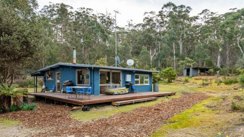 charming beach shack for sale tasmania under one million domain 
