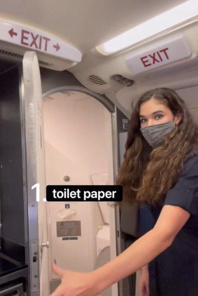 Flight attendant toilet paper plane