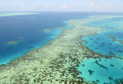 The Opposition is demanding an explanation from the government over the grant, which is meant to help save the reef.