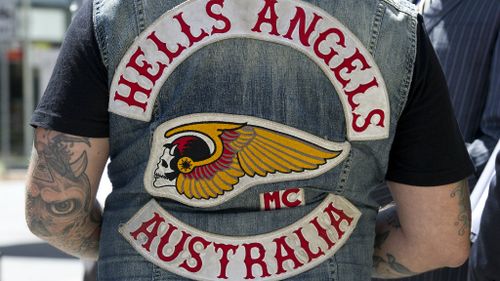 Queensland's anti-bikie laws working: police minister