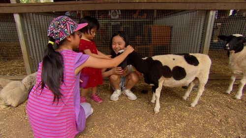 Children enjoy a petting zoo.