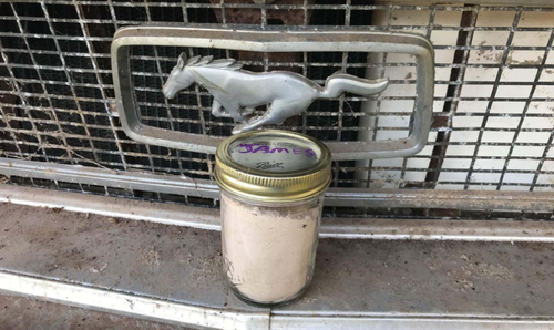 James the Mustang's owner asked that his ashes remain with the car wherever it went.