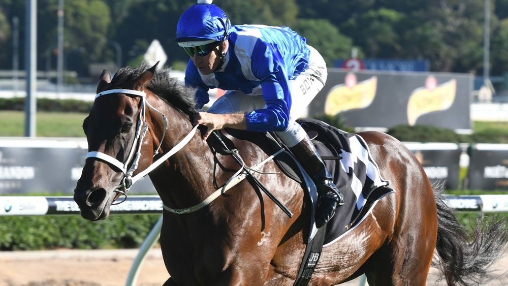 Winx has been listed at $1.10 favourite for the Chipping Norton Stakes. (AAP)