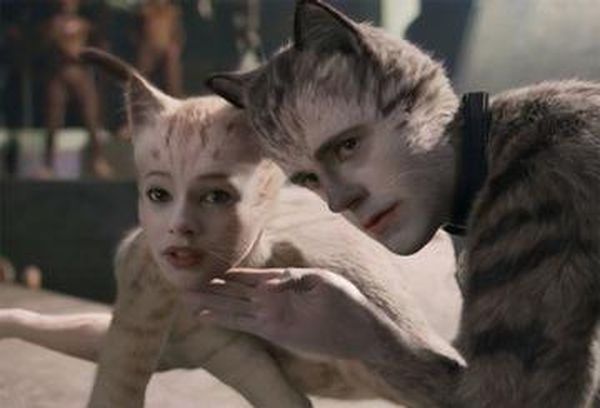 Cats