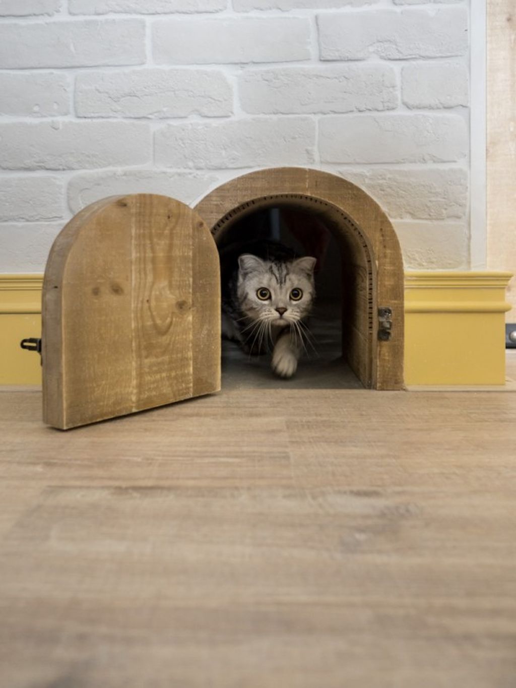 Eight Homes Designed For Cat Lovers And Their Cats