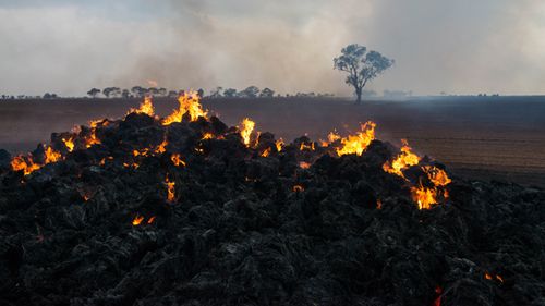 South Australia is set for a hot Christmas Day with a high fire danger.