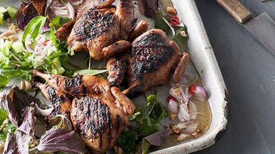 <a href="http://kitchen.nine.com.au/2016/05/05/11/17/leanne-kitchen-and-antony-suvalkos-barbecued-fivespice-quail" target="_top">Leanne Kitchen and Antony Suvalko's barbecued five-spice quail </a>recipe
