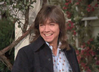  The Partridge Family, cast, then and now, gallery