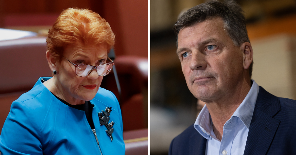 Opposition leader opens door to potential One Nation partnership