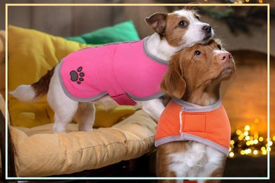 9PR: Queenmore Reversible Winter Fleece Dog Vest, Pink