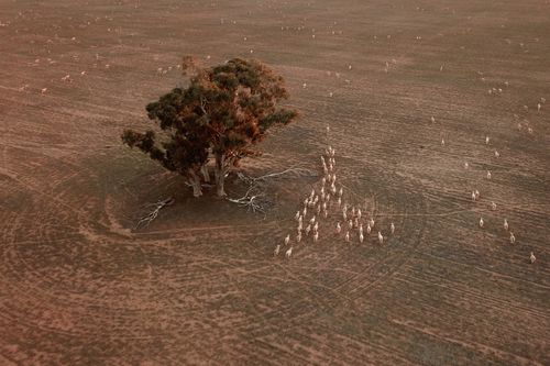 Grain prices have soared as farmers struggle to keep up with the costs of living on the land.