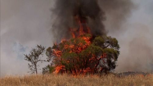 Jandabup Perth bushfire emergency