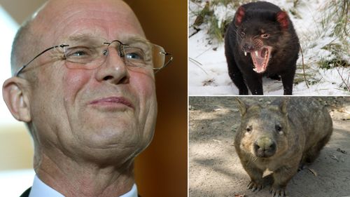 A wombat in the yard and a Tassie devil on the lounge: That's the call from Senator David Leyonhjelm