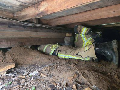 Stray dog found in well