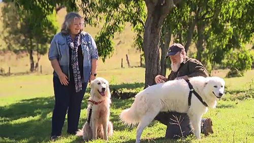 The couple raised Xena (left) from a pup.