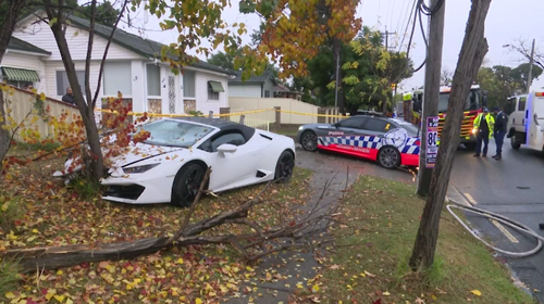 A Lamborghini is believed to have hit an aquaplane before slamming into a tree in Fairfield.