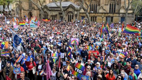 Pro-marriage equality rallies have attracted crowds of thousands.