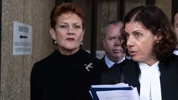 Pauline Hanson's 'grenade' tweet blew up migrant ambitions, court told