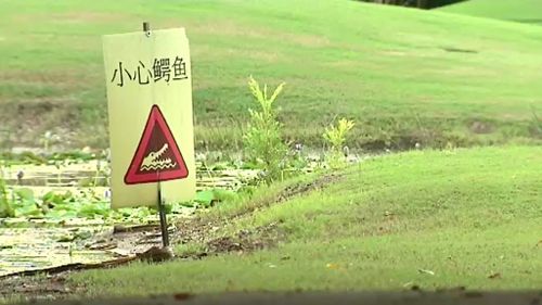 Elderly man treated for crocodile bite at Queensland golf course