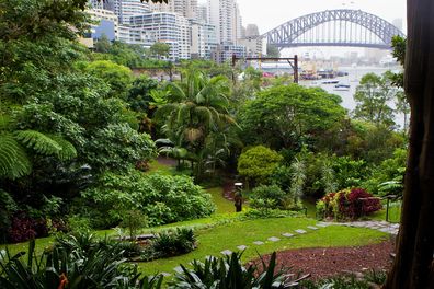 Wendy's Secret Garden, Lavender Bay.