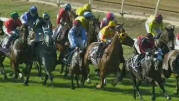 The Perth Cup has been abandoned after a horror fall.