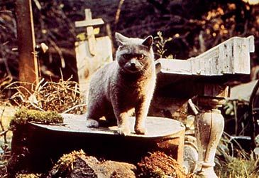 When was the original Pet Sematary movie first released in cinemas?
