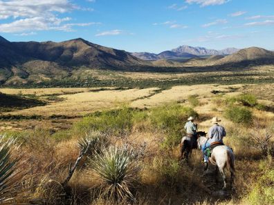 The southern Arizona landscape is a mix of mountains and desert plans- and lots of cacti. 