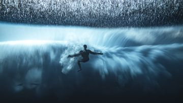 The Ocean Photographer of the Year award winners have been announced.