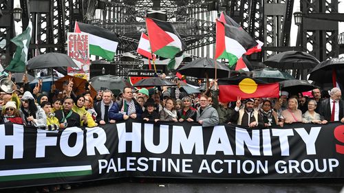 Pro-Palestine protesters march across the Sydney Harbour Bridge to bring attention to the ongoing Israel bombing and aid restrictions to Gaza. 3 August 2025 Photo: Janie Barrett
