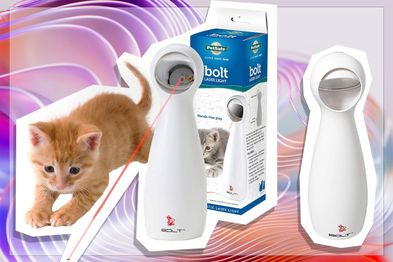 9PR: PetSafe Bolt Interactive Laser Cat Toy