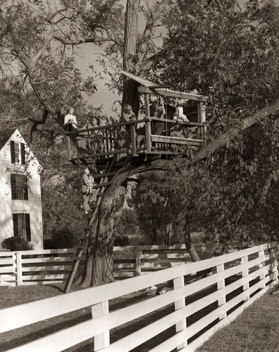 Treehouses have been around as long as children have been climbing trees.