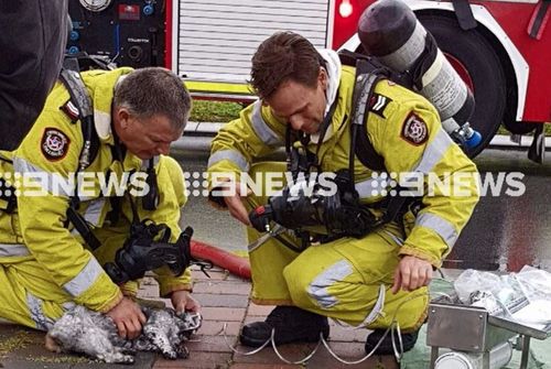 Woman and pets rescued from house fire