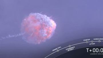 Moon 9news Latest News And Headlines From Australia And The World