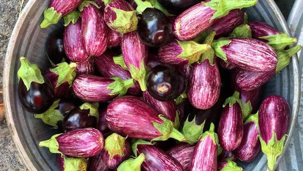 Perfectly pretty eggplants