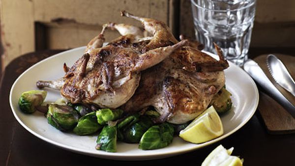 Grilled quail with sautéed brussels sprouts