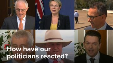 How have politicians reacted to the High Court citizenship decision?