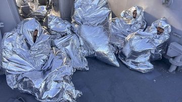 In this photo provided by the Greek Coast Guard, some of the nine men who survived a shipwreck and were found on an uninhabited islet are covered with a thermal blankets as they sit aboard a Greek Coast guard vessel, in the Aegean Sea, Greece, on November 1, 2022.