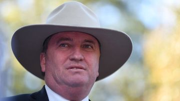 Barnaby Joyce says his Plan B now the same-sex marriage plebiscite is all but dead, is to 'straighten out the economy'. 