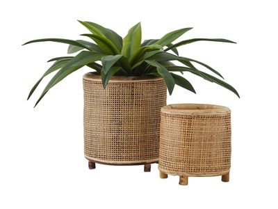 Benoa plant pots  Adairs