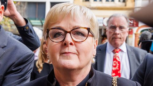 The senator is suing her former staffer Higgins, who is defending the claim, over social media posts the ex-defence minister believes damaged her reputation.