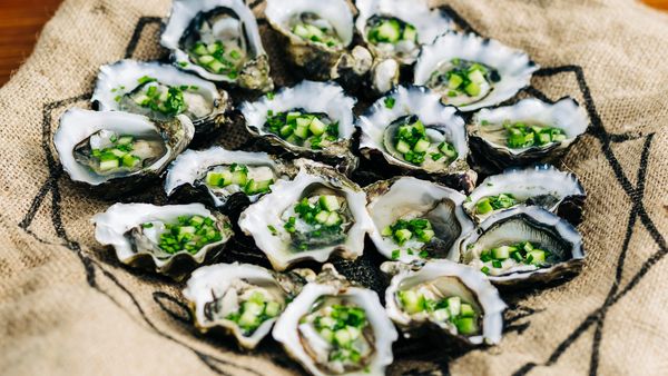 Massimo Mele oysters recipe