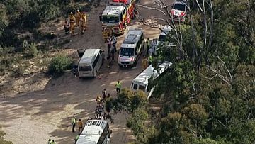 Two buses have crashed in the Blue Mountains. (9NEWS)