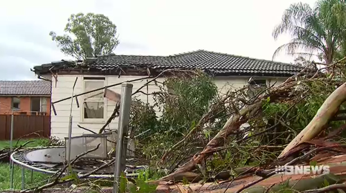 Thousands left without power after storm sweeps through Sydney