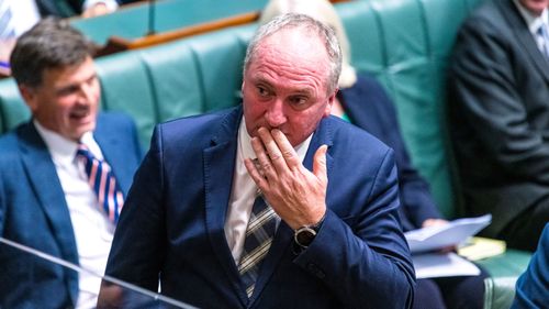 Nationals member for New England Minister Barnaby Joyce