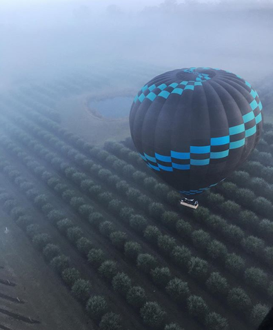 Ballooning in the Hunter Valley over a vineyard