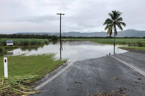 Hundreds have been cut off after the Daintree River reached a record flood peak.