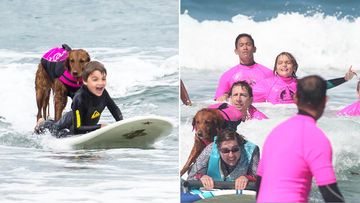 The mother of Californian boy West Butner has credited an encounter with surfing dog Ricochet with inspiring her son to volunteer with the Waves of Empowerment program. (KillerImage.com/Barb McKown)