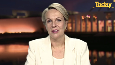 Tanya Plibersek said she had to tell Craig Kelly to pull his head in.