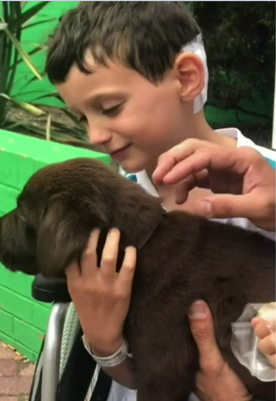 Levi loved sports and animals. 