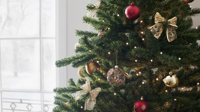 A decorated Christmas tree